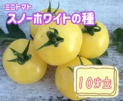 めぐ様 リクエスト 7点 まとめ商品