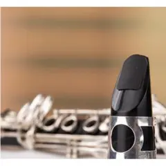 Item thumbnail for item 088202f8-4fb7-427d-a00c-f612bd7ed93a