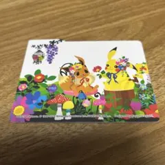 仕切りのみ　デッキケース Berry’s forest 森 ピカチュウ イーブイ