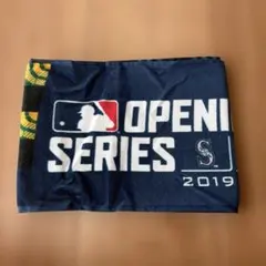 Item thumbnail for item 54da93ae-c94e-462b-aa98-778df8392db5