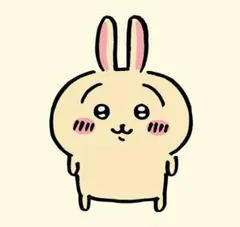 ★専用お値下げページ