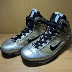 Item thumbnail for item 19678b93-313b-4d77-b4de-45c473f9d615