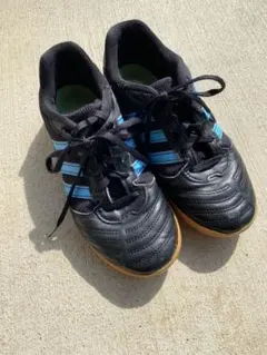 Item thumbnail for item 99ccdd17-a2a8-45f3-857e-483a27967a96