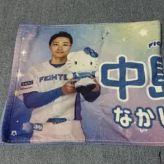 2024かわいいシリーズ 特典タオル 中島卓也選手