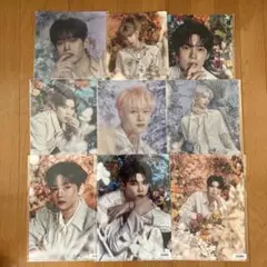 ゼベワン ゆらゆら ソニミュ  クリアファイル 9枚 コンプ セット