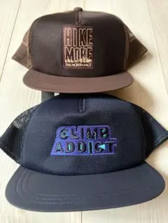 Item thumbnail for item a3647b38-4ad9-4e68-b731-3dfe71369598