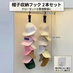 帽子収納フック 2本セット クローゼット 省スペース 吊り下げ 整理 キャップ