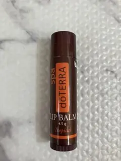 Item thumbnail for item 15358543-2837-4ab6-958d-50fac5d6618e