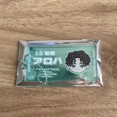 r*o様 超特急　アロハ　EVE ランダムチケットキーホルダー ①