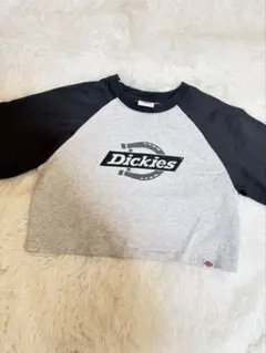 Tシャツ　ミニティー　DICKIES レディースカットソー　コンパクト　ブラック