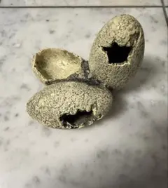 Item thumbnail for item 4ffca37e-3a54-4267-bdcc-deb5bf34c930