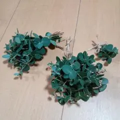 ユーカリ スワッグ 2つセット　おまけつき