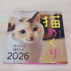 Item thumbnail for item 677872ad-e1ff-4596-87c9-a2989e06c42a