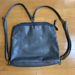 ear  イアパピヨネ3wayバック