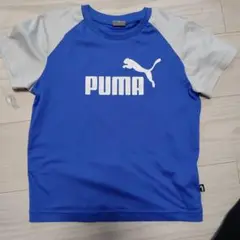 PUMA Tシャツ 130サイズ 青/グレー