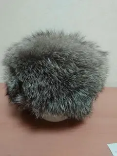 ロシア