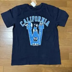 IVANHOE COLLECTION Tシャツ ネイビー LL