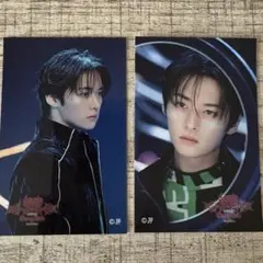 straykids スキズ FCくじ ステッカー リノ エコパ