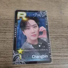 Stray Kids チャンビン ssjypリアルカード　エコパ