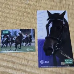 JRA 金馬券　日本ダービー　ウォッカ　非売品 mqdefault.jpg