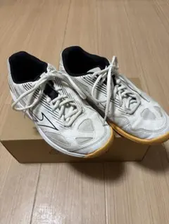 Mizuno ミズノ　バレーボールシューズ　サイクロンスピード 4 Jr
