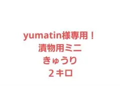 yumatin様専用！漬物用ミニきゅうり２キロ