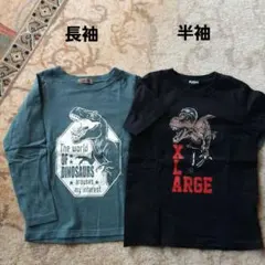 恐竜プリントTシャツ 2枚セット