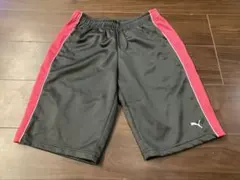 ハーフパンツ　プーマ