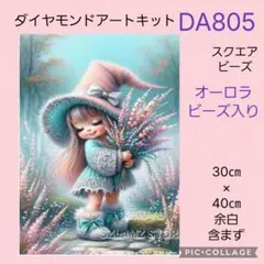 DA805★ダイヤモンドアートキット★スクエアビーズ★オーロラビーズ入り