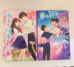 未使用に近い❣️野いちごジュニア文庫 ２冊セット