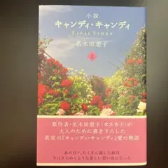 2025年最新】小説キャンディキャンディFINALの人気アイテム - メルカリ