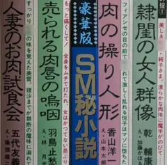 絶版】秘小説87年10月 千草忠夫 結城彩雨 前田寿按 楡畑雄二 椋陽児 他