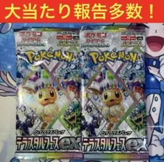 Ted様 リクエスト 2点 まとめ商品