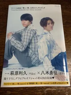 美しい彼 ビジュアルブック 特典付き
