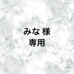 みな 様 専用