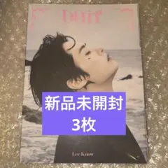 straykids do it 新品未開封 accordion リノ　3枚