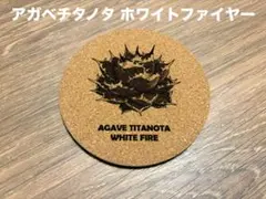 アガベ チタノタ ホワイトファイヤー コルクコースター