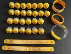 ヒプマイ リングライト・バングルライト・LEDリストバンド 一郎 11点セット ヒプマイ リングライト・バングルライト・LEDリストバンド 一郎