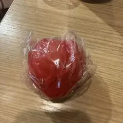 リラクゼーショ赤 2025LIVEGYM FYOP