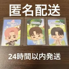 SEVENTEEN ケレン トレカ エスクプス ジョンハン ジョシュア