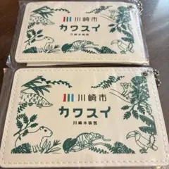 カワスイ 定期