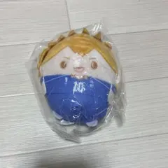 ハイキュー くじメイト ぬいくじ ふわコロりん D賞 日向翔陽 ぬいぐるみ