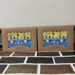 【未開封品】 スヌーピーライン キッチンクロス2枚組 2個セット