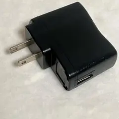 USB充電器 RS-2400500081 黒
