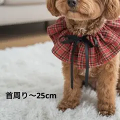 An様 リクエスト 2点 まとめ商品