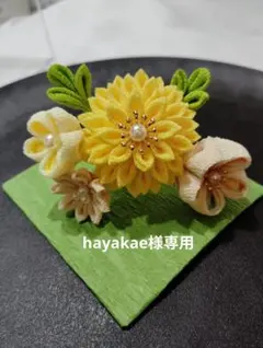 hayakae様専用ページです