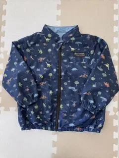 Item thumbnail for item 7729ed2b-b45a-47d8-bce7-562405f87f56