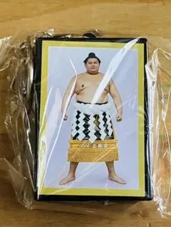 大相撲 大の里 力色紙 大相撲クレーン 証明写真風ステッカー