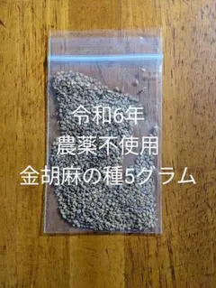 パグりん様 リクエスト 3点 まとめ商品