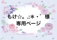 こちらはもけ☆。.:＊・゜様専用ページとなります。